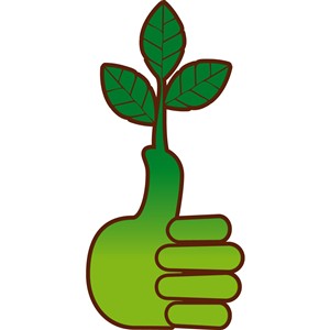 Nutrisail products gave me a green thumb